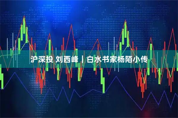 沪深投 刘西峰｜白水书家杨陌小传