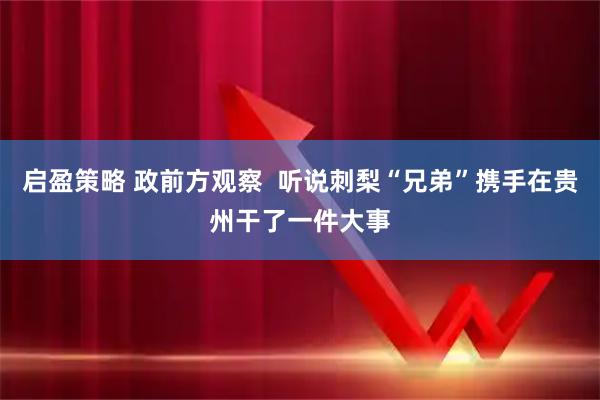 启盈策略 政前方观察  听说刺梨“兄弟”携手在贵州干了一件大事