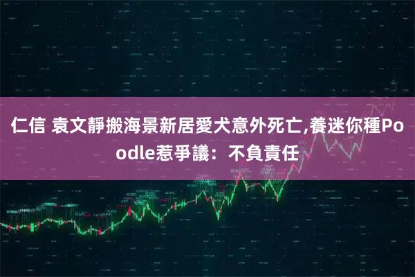 仁信 袁文靜搬海景新居愛犬意外死亡,養迷你種Poodle惹爭議：不負責任