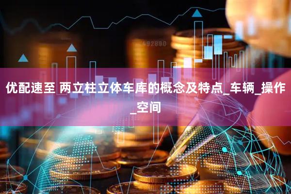 优配速至 两立柱立体车库的概念及特点_车辆_操作_空间
