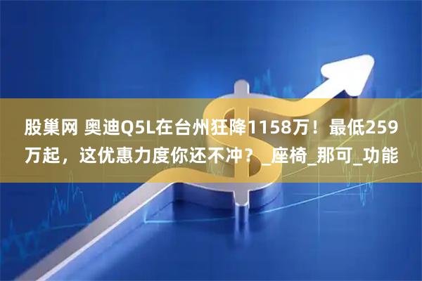股巢网 奥迪Q5L在台州狂降1158万！最低259万起，这优惠力度你还不冲？_座椅_那可_功能