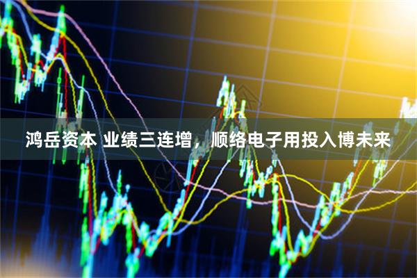 鸿岳资本 业绩三连增，顺络电子用投入博未来