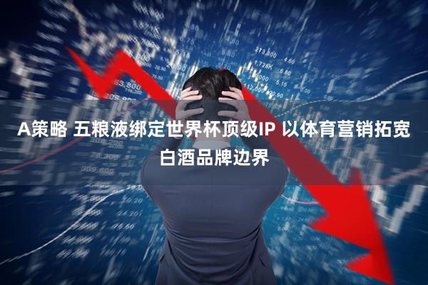 A策略 五粮液绑定世界杯顶级IP 以体育营销拓宽白酒品牌边界