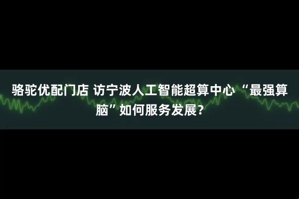 骆驼优配门店 访宁波人工智能超算中心 “最强算脑”如何服务发展？