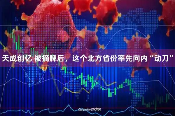 天成创亿 被摘牌后，这个北方省份率先向内“动刀”