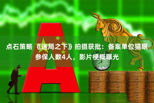 点石策略 《迷局之下》拍摄获批：备案单位猫眼参保人数4人，影片梗概曝光